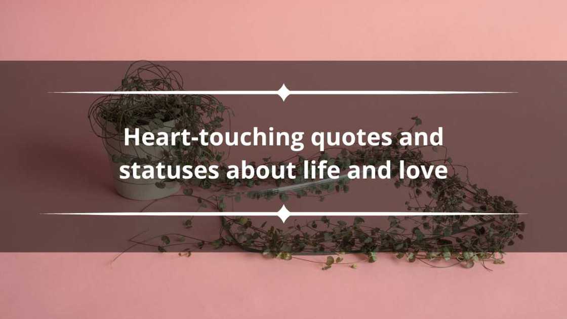 heart-touching quotes