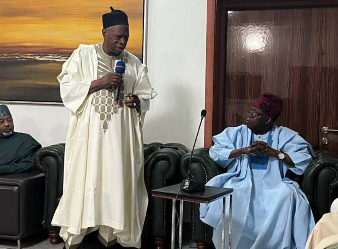 2023 general elections, APC chairman, Bola Tinubu, Senator Adamu Abdullahi 2023 general elections, APC chairman, Bola Tinubu, Senator Adamu Abdullahi