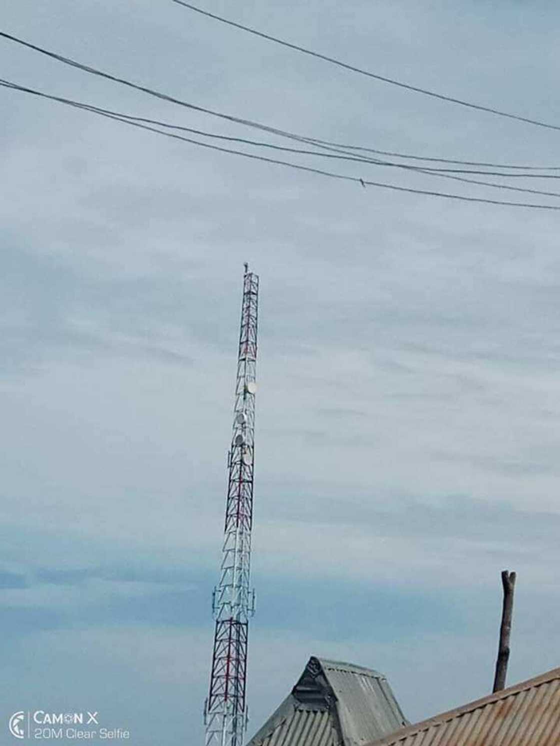 Tashin hankali: Ba zan sauko ba sai Buhari ya yi murabus - Matashi ya hau falwayan Glo Tashin hankali: Ba zan sauko ba sai Buhari ya yi murabus - Matashi ya hau falwayan Glo