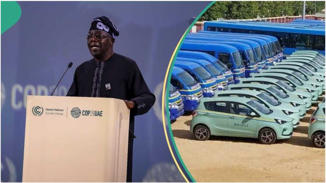 CNG Buses/Bola Tinubu/Maiduguri/APC