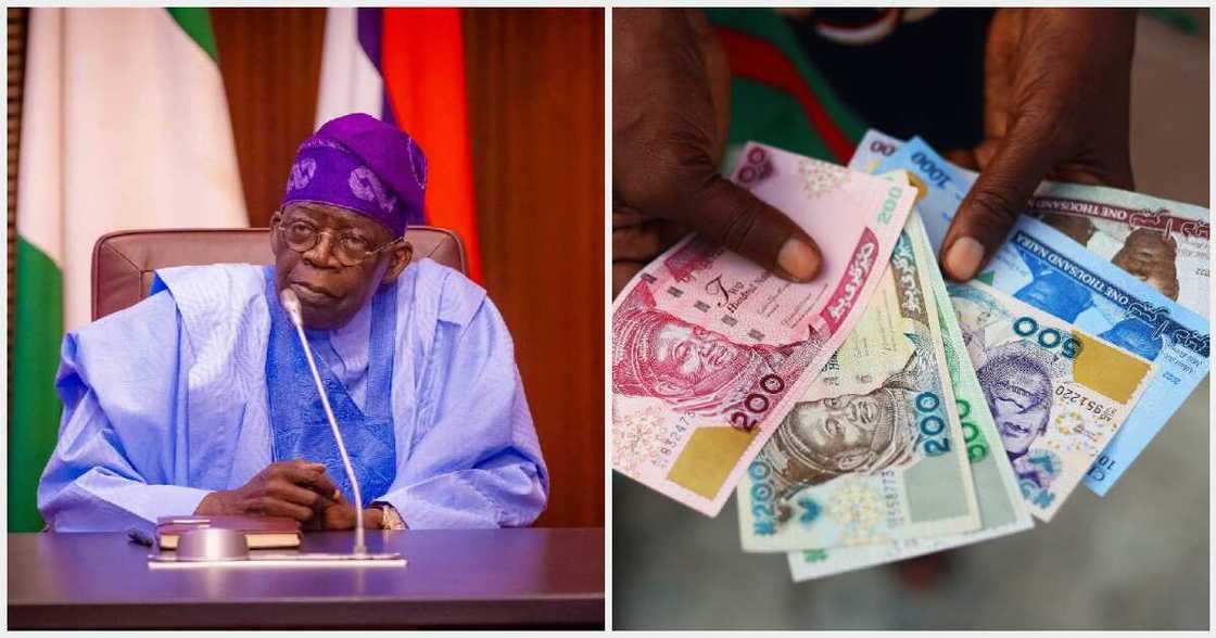 Naira to dollar and Tinubu's government plans Naira to dollar and Tinubu's government plans