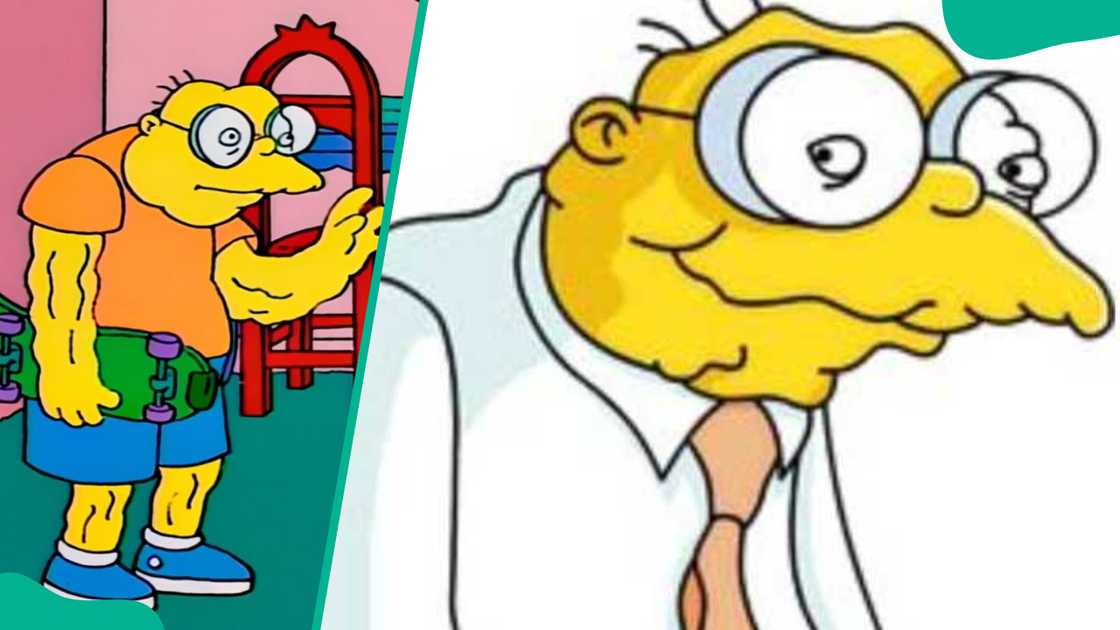 Hans Moleman from The Simpsons Hans Moleman from The Simpsons