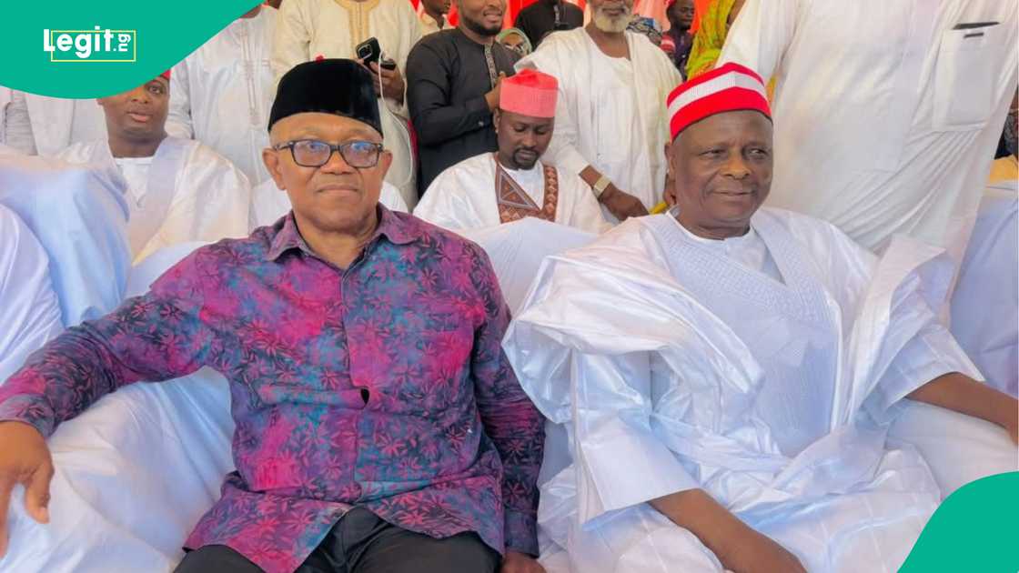 Peter Obi and Kwankwaso unite in Kano ahead of 2-27 elections