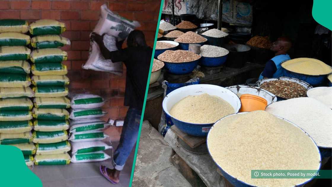 President Tinubu moves to crash food prices President Tinubu moves to crash food prices