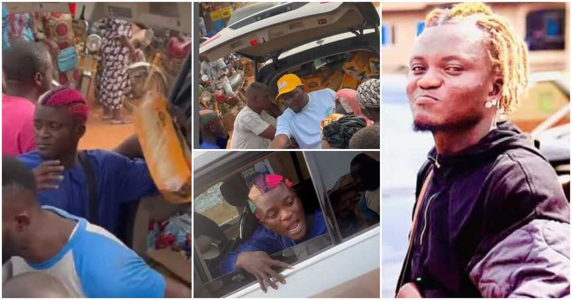 Portable Zazu Portable Zazu