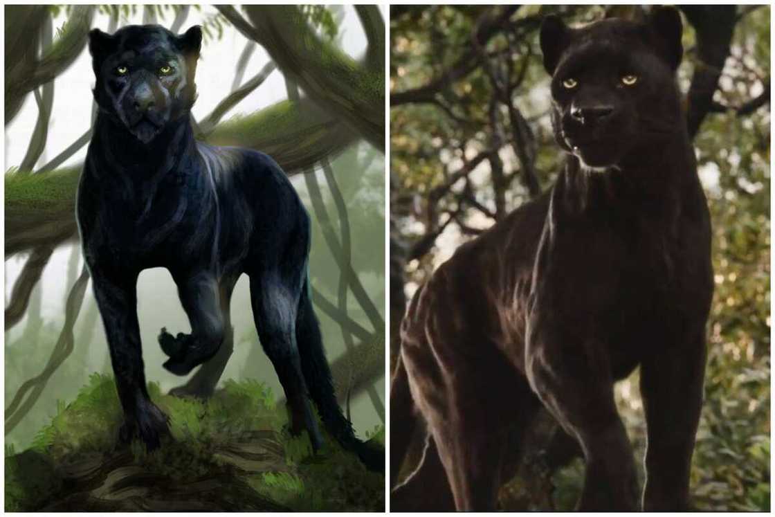 Jungle Book names Jungle Book names