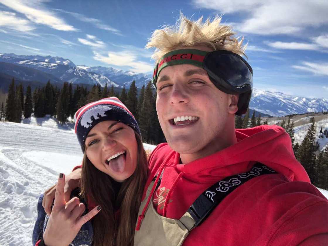 Erika Costell Jake Paul Erika Costell Jake Paul