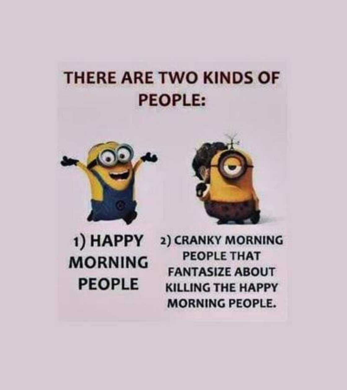 30 Funny Good Morning Memes To Send To Your Family And Friends Legit ng 30 Funny Good Morning Memes To Send To Your Family And Friends Legit ng