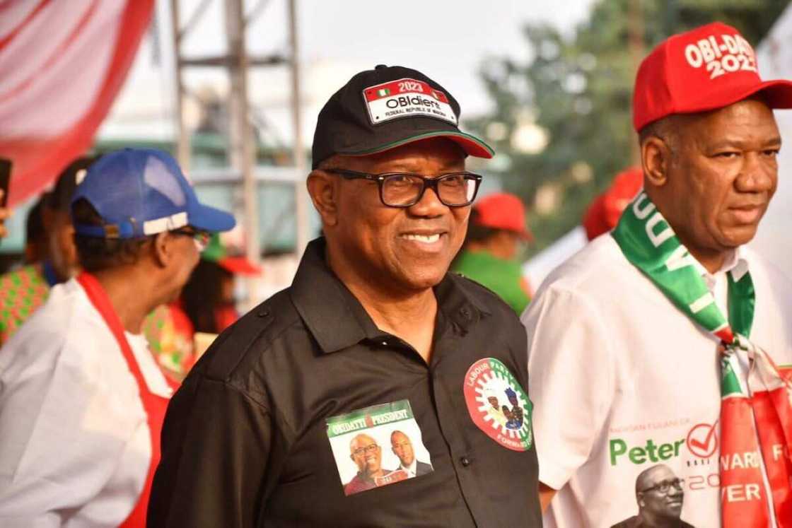 Labour Party, Peter Obi, PDP, APC, 2023 presidential election