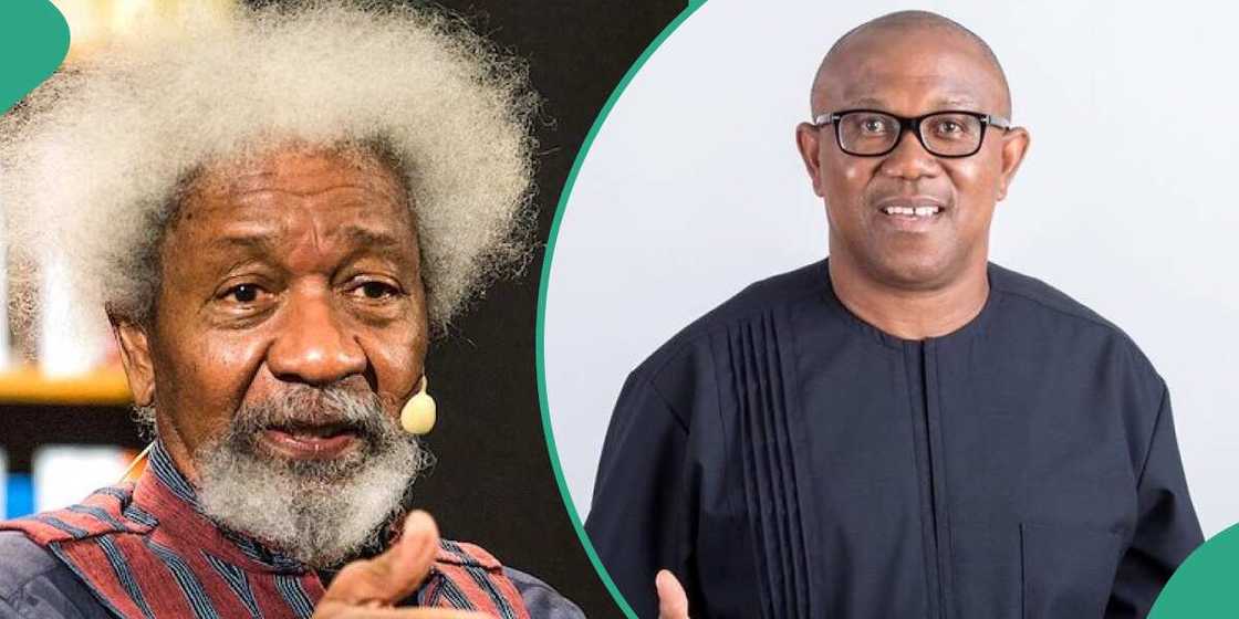 2023 presidential election, Peter Obi, Wole Soyinka, the Nobel laureate