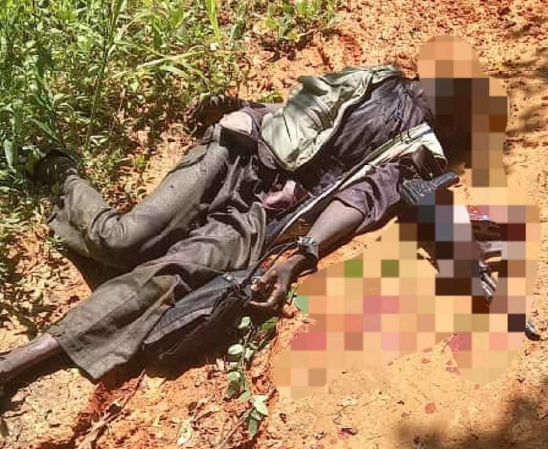 OPWS: Dakarun soji sun halaka 'yan bindiga, sun kwace miyagun makamai da kwayoyi OPWS: Dakarun soji sun halaka 'yan bindiga, sun kwace miyagun makamai da kwayoyi