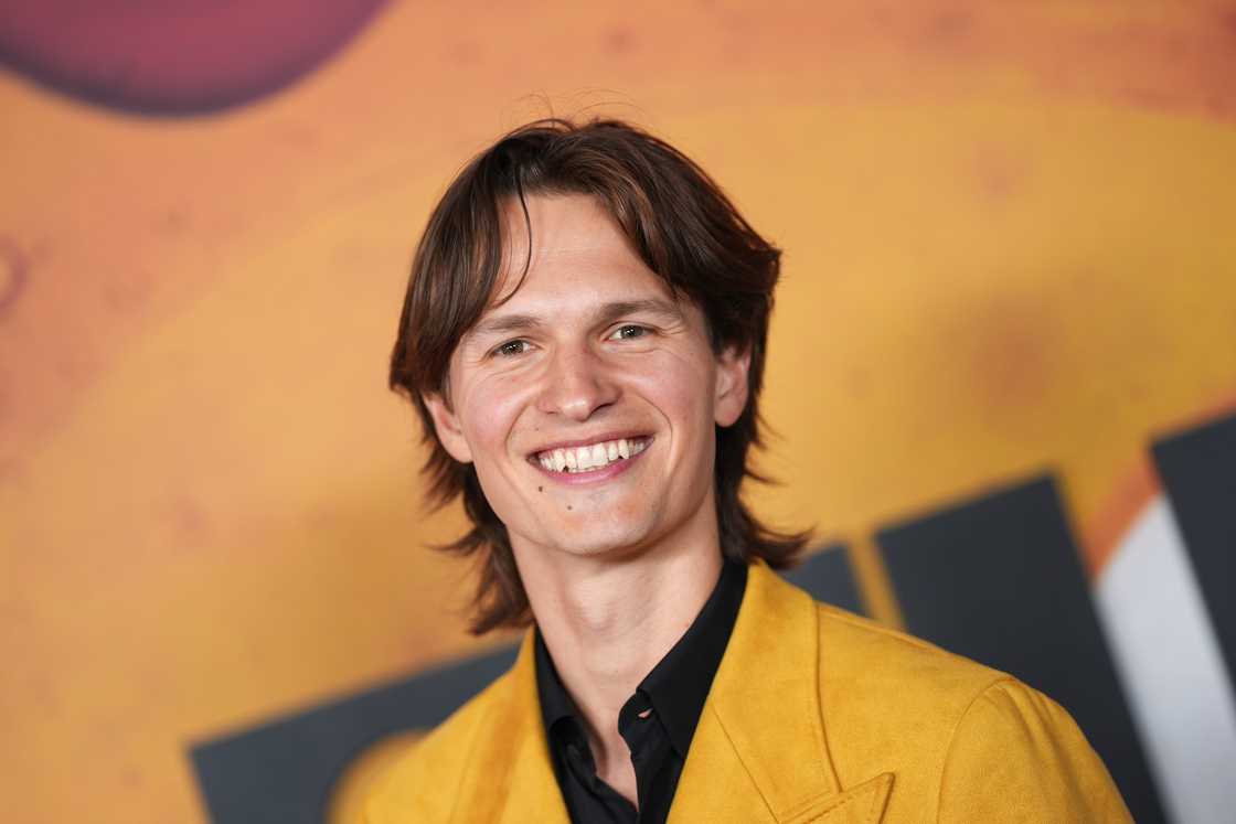 Ansel Elgort at the "Bugonia" New York Premiere held at The Museum of Modern Art in New York