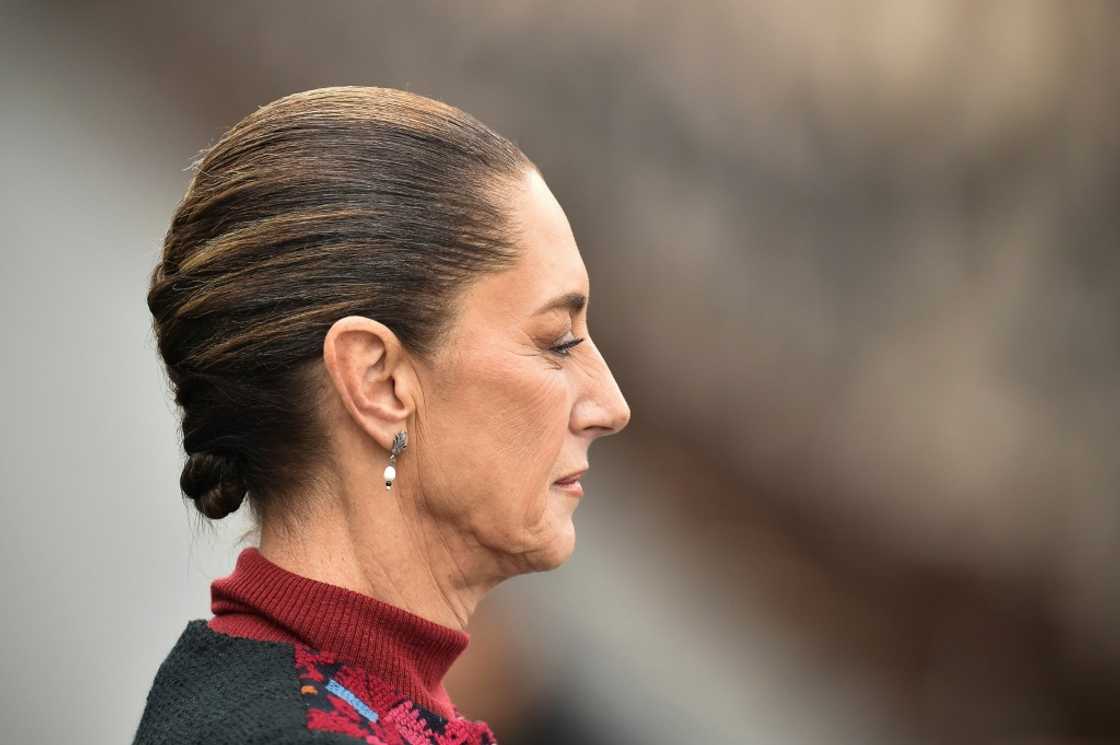 Mexico's President Claudia Sheinbaum said she discussed migration with US President-elect Donald Trump Mexico's President Claudia Sheinbaum said she discussed migration with US President-elect Donald Trump