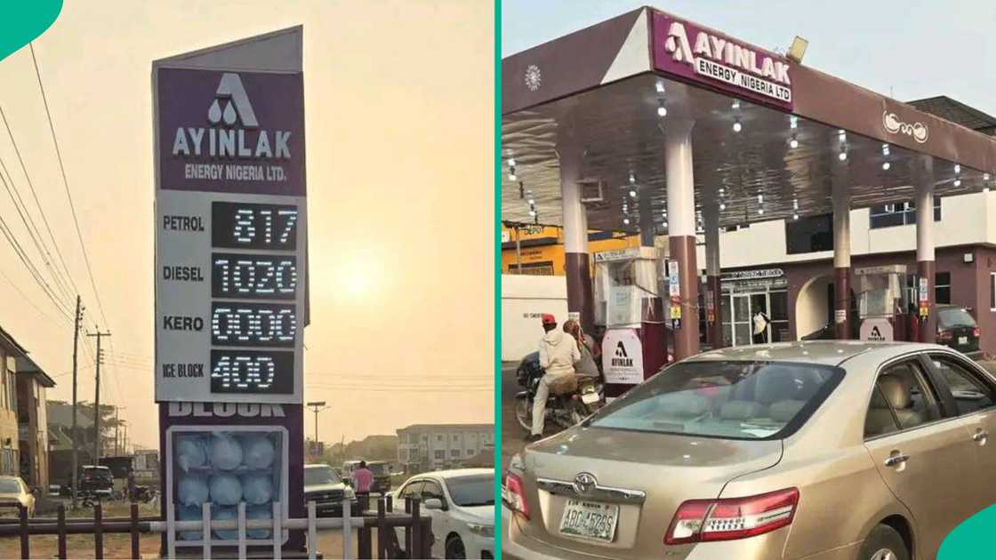 Dangote New Fuel Price: Nigerian Man Living in Ilorin Mentions Filling Station With Cheapest Petrol Dangote New Fuel Price: Nigerian Man Living in Ilorin Mentions Filling Station With Cheapest Petrol