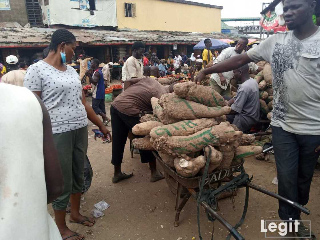 Yam is very expensive at the market; especially the big-sized yam. Photo credit: Esther Odili