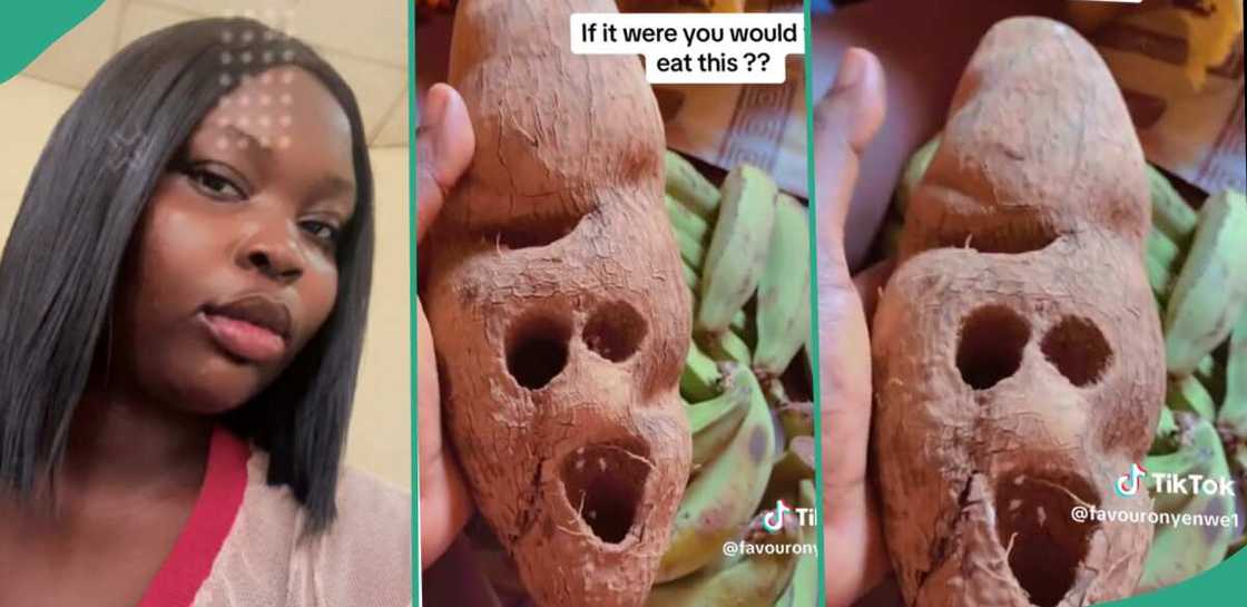 Tuber of yam with a strange shape. Tuber of yam with a strange shape.