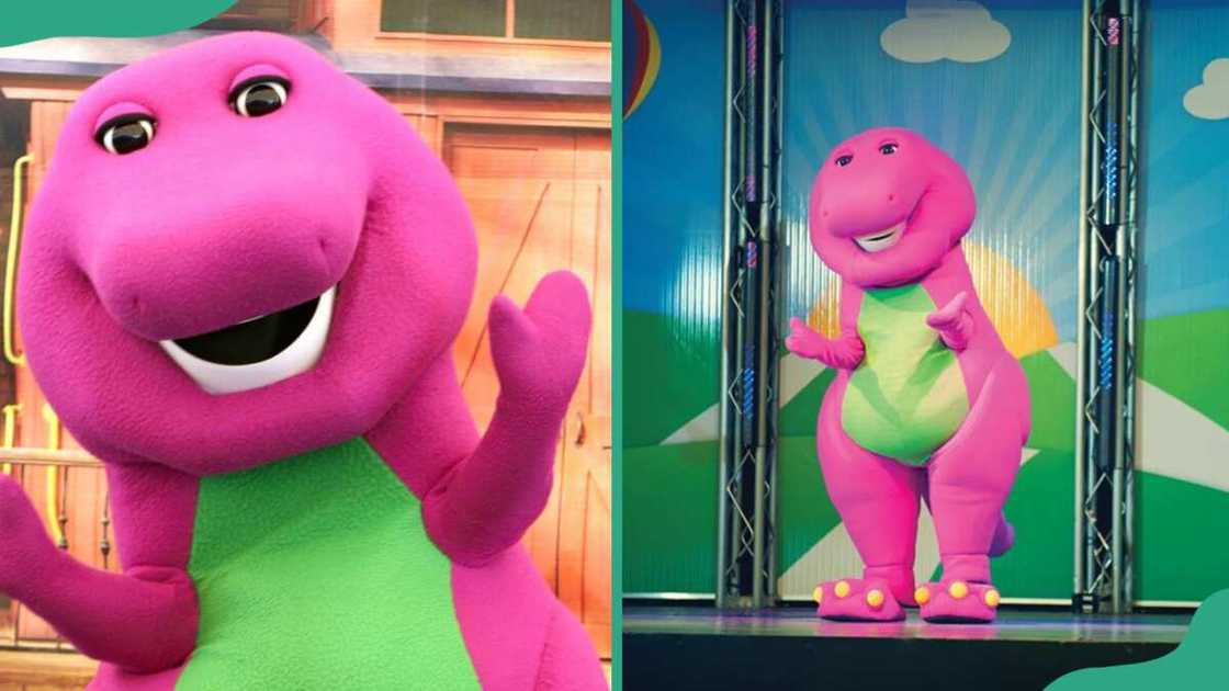Barney the Dinosaur from Barney & Friends Barney the Dinosaur from Barney & Friends