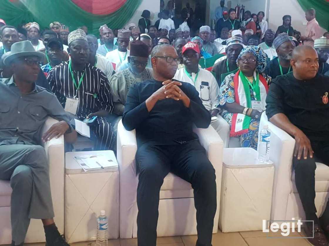 Peter Obi, Labour Party Peter Obi, Labour Party