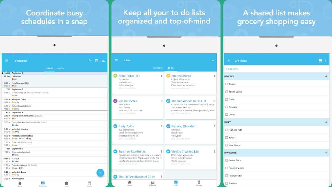 Main features of the Cozi Family Organiser. Main features of the Cozi Family Organiser.