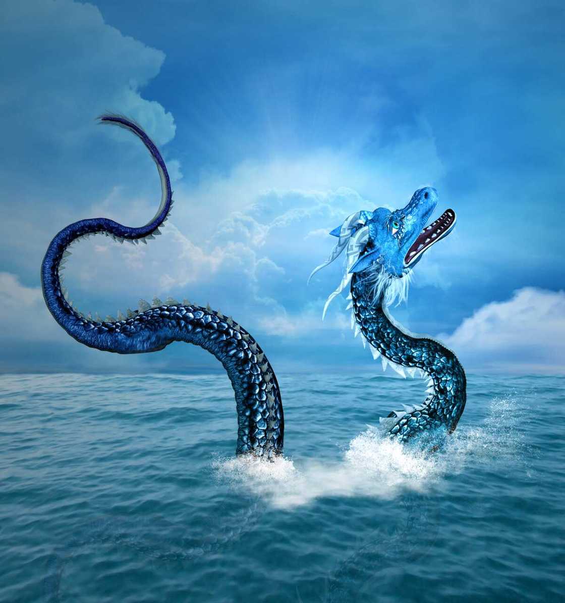 Different types of dragons around the world Different types of dragons around the world