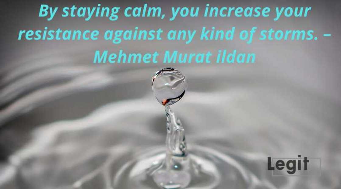 awesome quotes awesome quotes