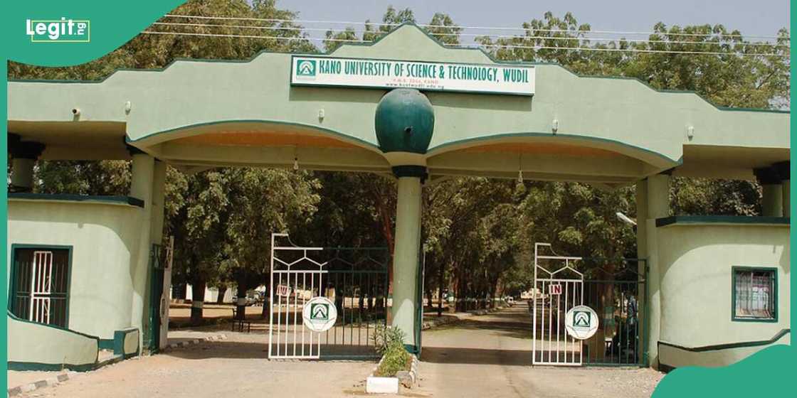 Aliko Dangote University, Kano state