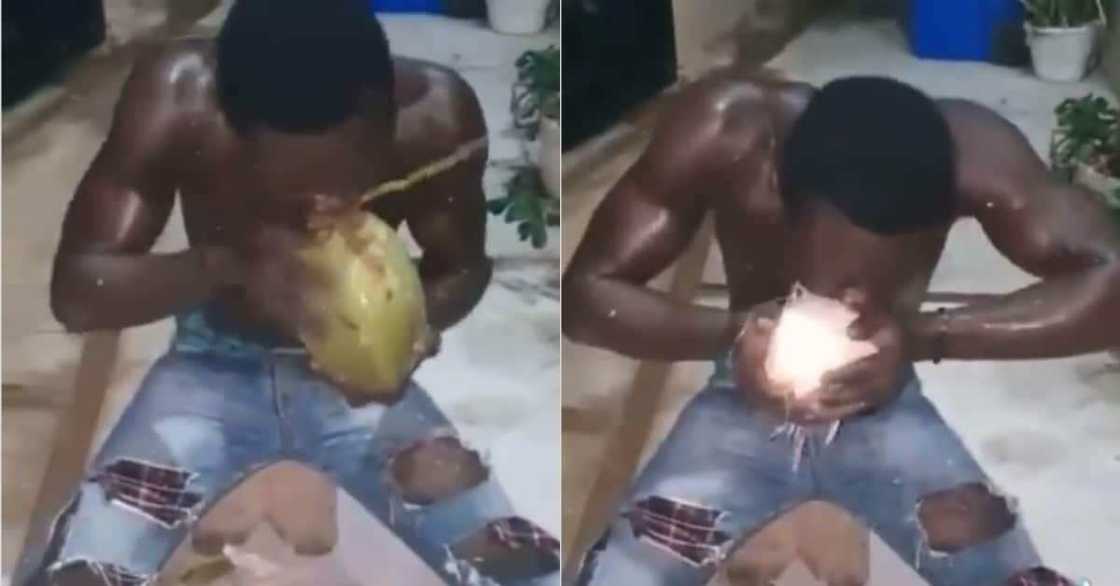Man Shows Power, Peels Coconut Husks with Bare Teeth in Video, Many React Man Shows Power, Peels Coconut Husks with Bare Teeth in Video, Many React
