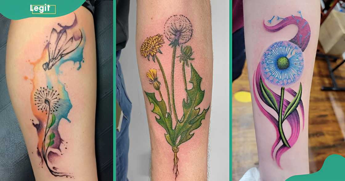 A watercolour dandelion puffball (L), a realistic plant tattoo (C) and a blown dandelion tattoo (R).