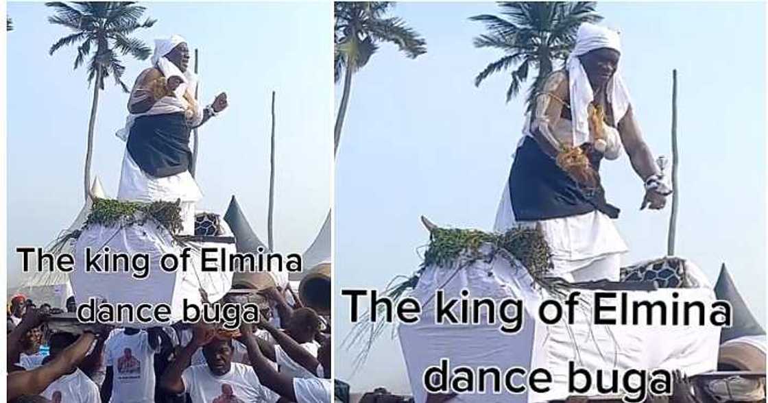 King of Elmina, Buga King of Elmina, Buga