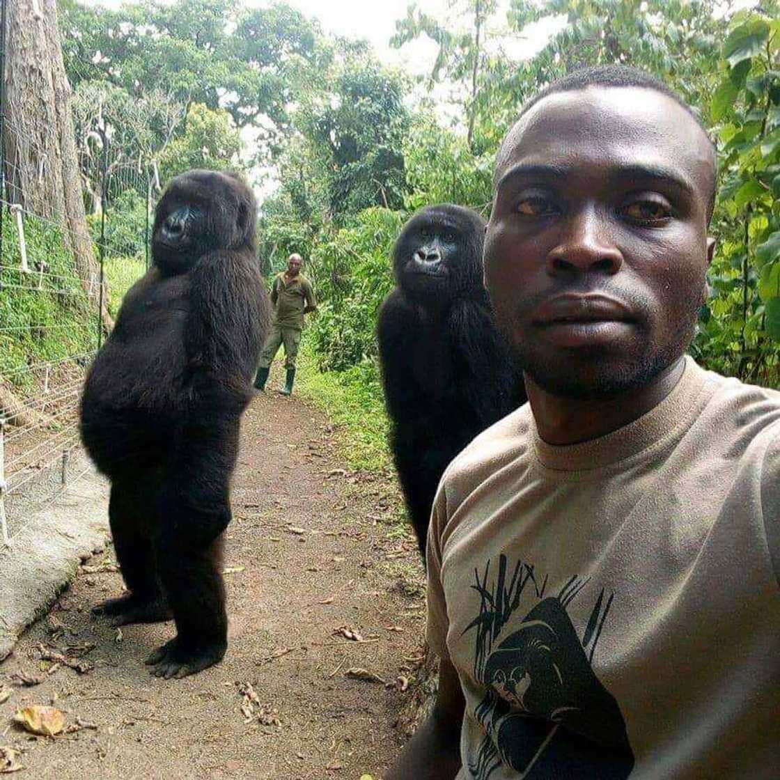 The Elite AntiPoaching Units And Combat Trackers. The Elite AntiPoaching Units And Combat Trackers.