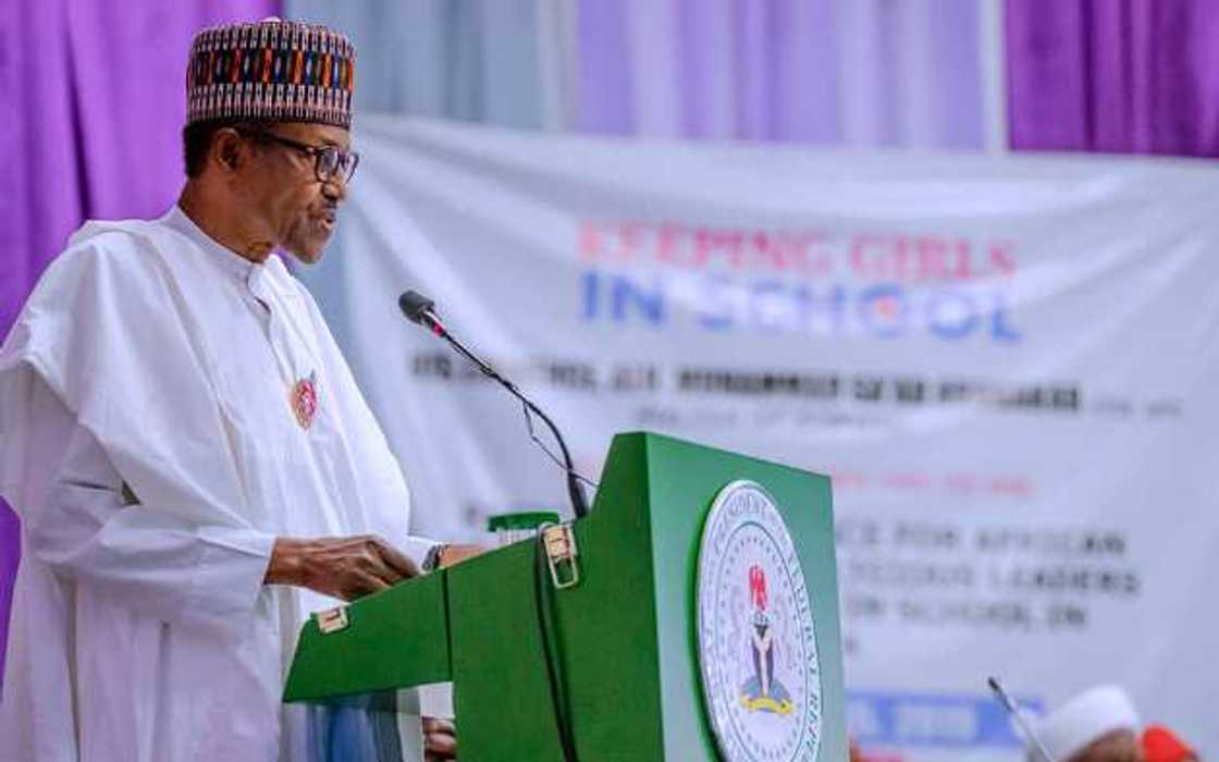 Buhari wants Nigerian youths to work hard, no more jobs Buhari wants Nigerian youths to work hard, no more jobs