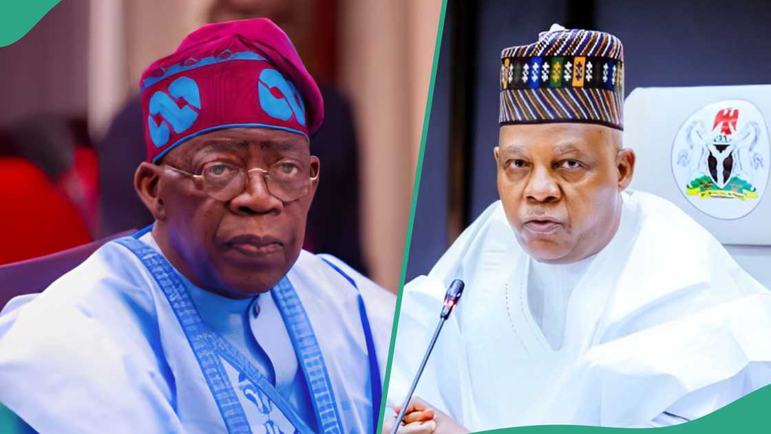 CHOGM 2024: Shettima to represent Tinubu in Samoa