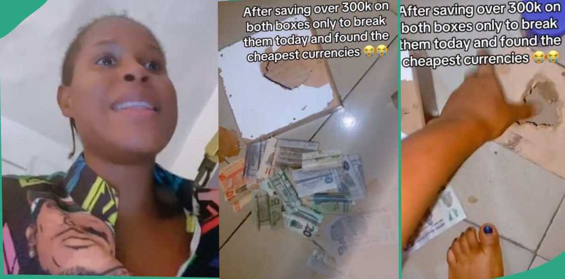 Piggy banks Piggy banks