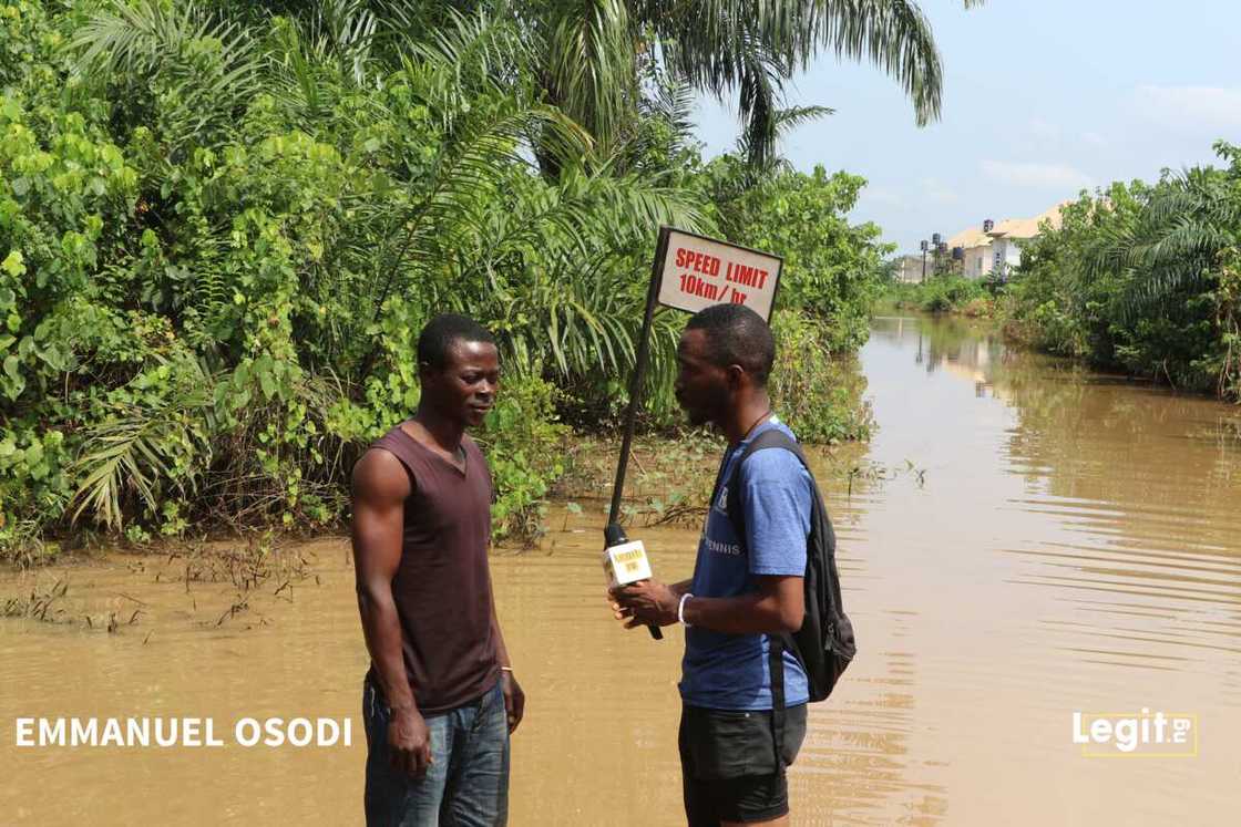 Crocodiles, wild animals invade Ogun community Crocodiles, wild animals invade Ogun community