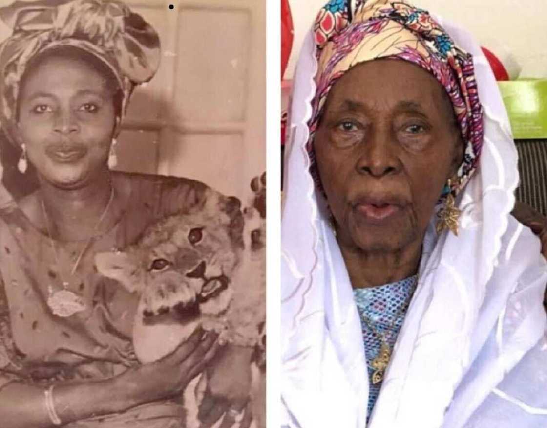 Marigayiya Hajiya Ladi Audu Bako Marigayiya Hajiya Ladi Audu Bako