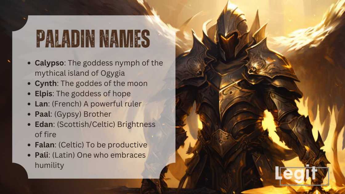 paladin names paladin names