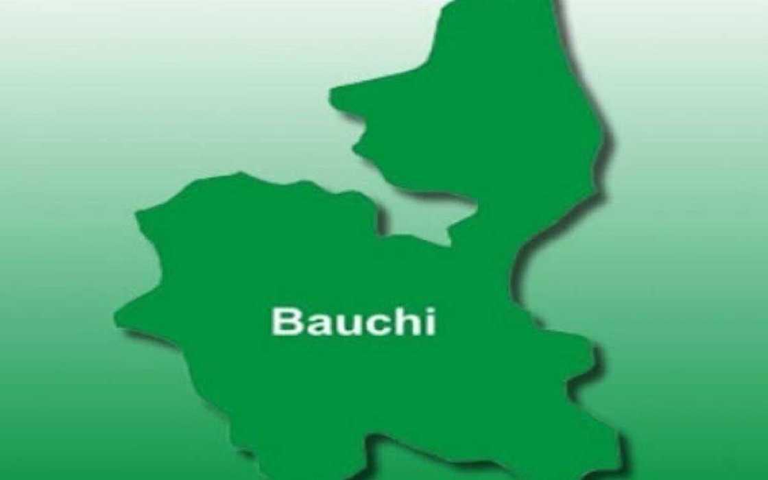 Bauchi Bauchi