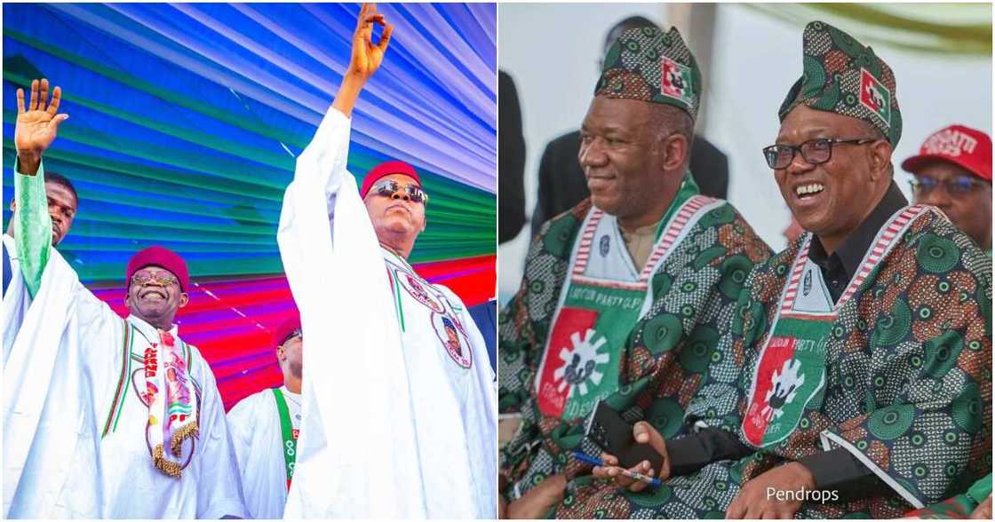 Peter Obi, Bola Tinubu, 2023 election, APC, PDP, Atiku Abubakar, Labour Party Peter Obi, Bola Tinubu, 2023 election, APC, PDP, Atiku Abubakar, Labour Party