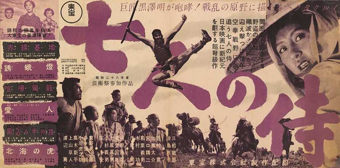 ultimate fight movies ultimate fight movies