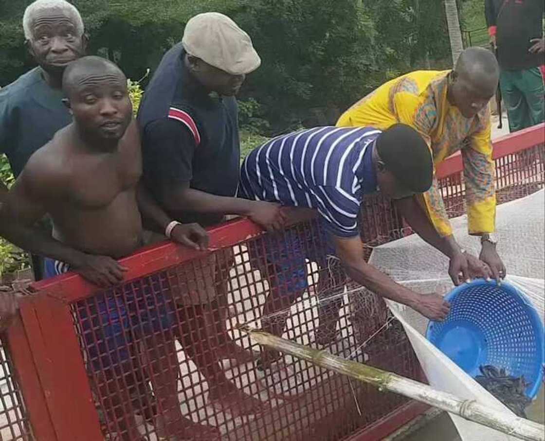 Post Covid-19: Obasanjo warns against food crisis