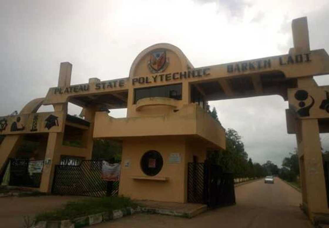 Da dumi-dumi: Yan bindiga sun kai hari Plateau Poly, sun kwashe dalibai Da dumi-dumi: Yan bindiga sun kai hari Plateau Poly, sun kwashe dalibai