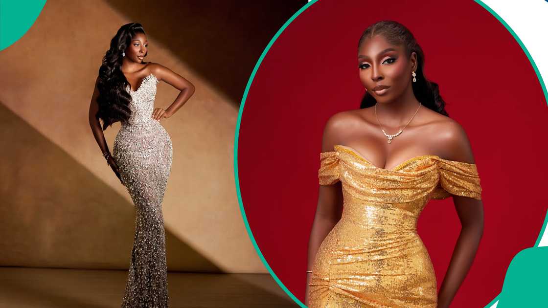Miss World Nigeria 2026 winner announced – Her state and biography inside