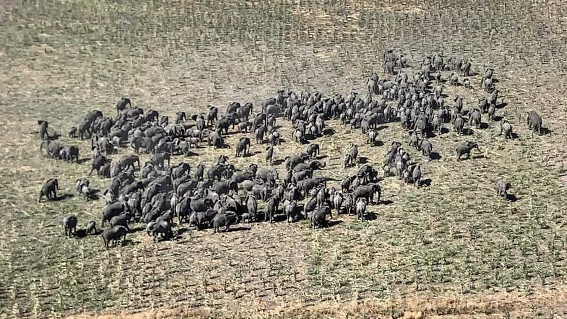 Boko Haram Boko Haram