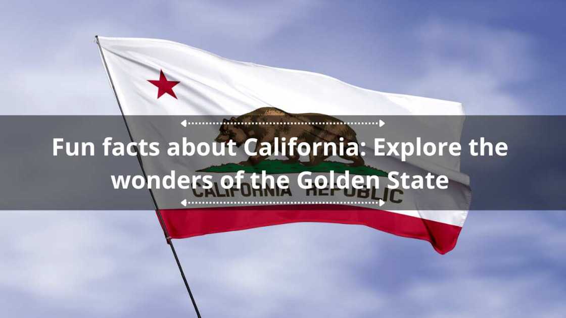 20 fun facts about California: Explore the wonders of the Golden State