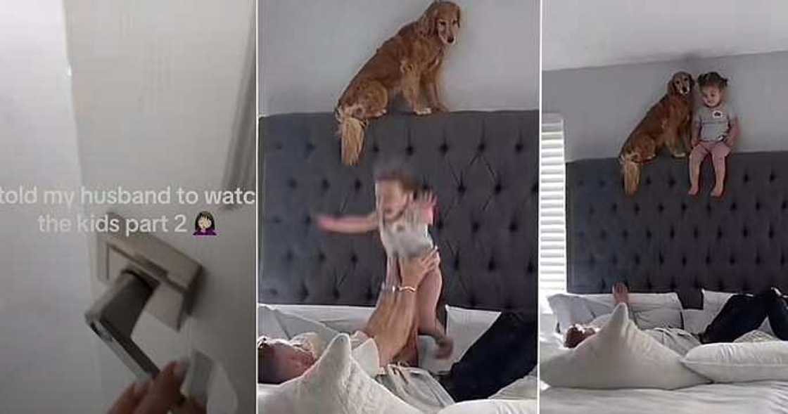 Mum sees little daughter playfully wrestling with dad Mum sees little daughter playfully wrestling with dad
