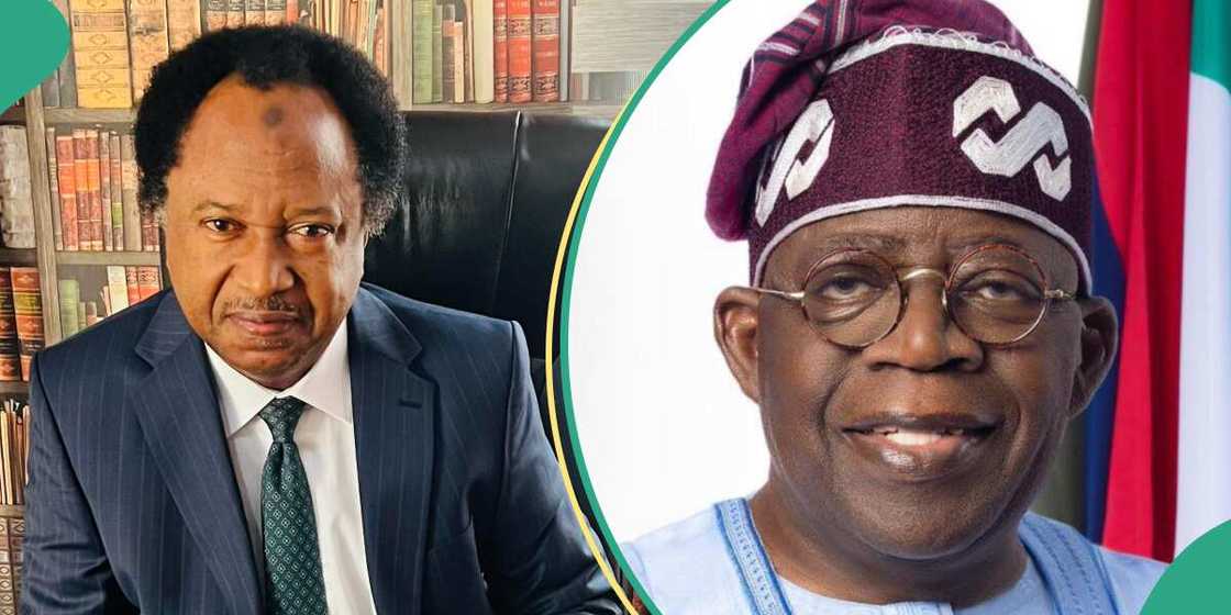 Shehu Sani da Bola Tinubu.