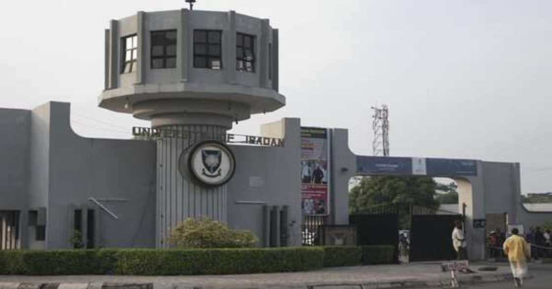 UI's faculty of technology produces 43 First Class as NSE inducts 293 UI's faculty of technology produces 43 First Class as NSE inducts 293
