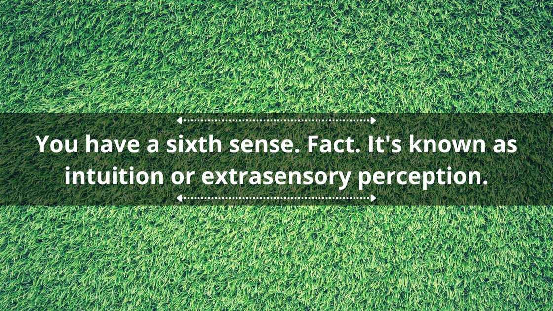 Facts or fiction questions about yourself Facts or fiction questions about yourself
