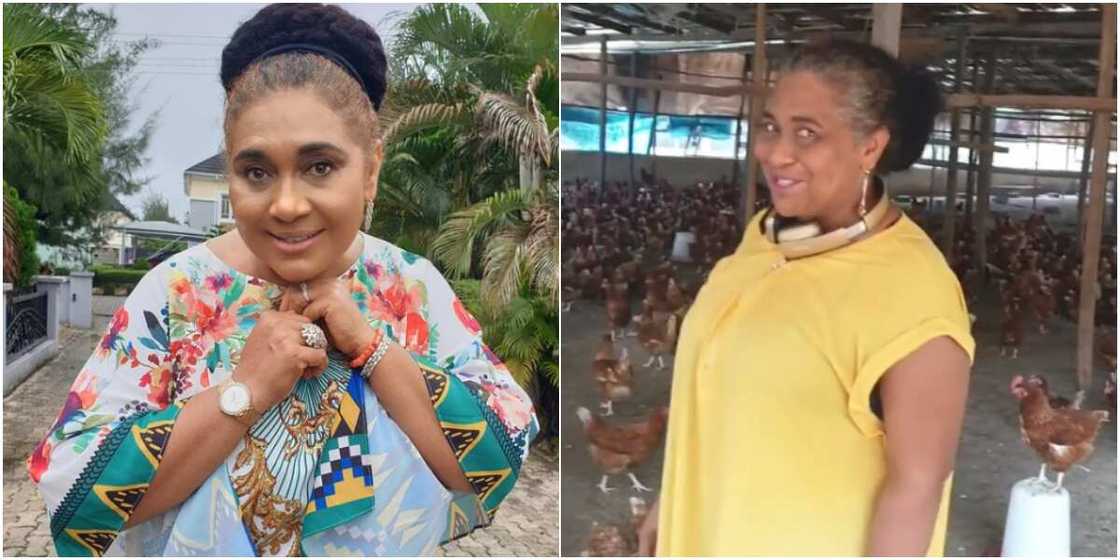 Hilda Dokubo Hilda Dokubo