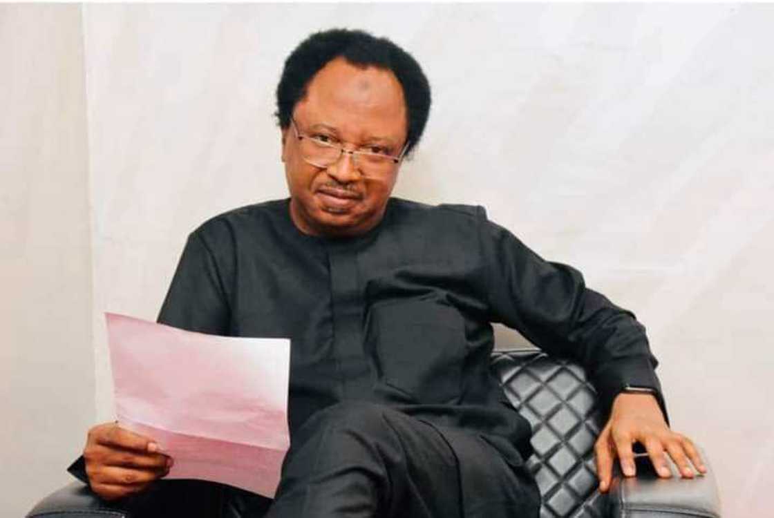 Shehu Sani, Nigeria’s borders, President Muhammadu Buhari